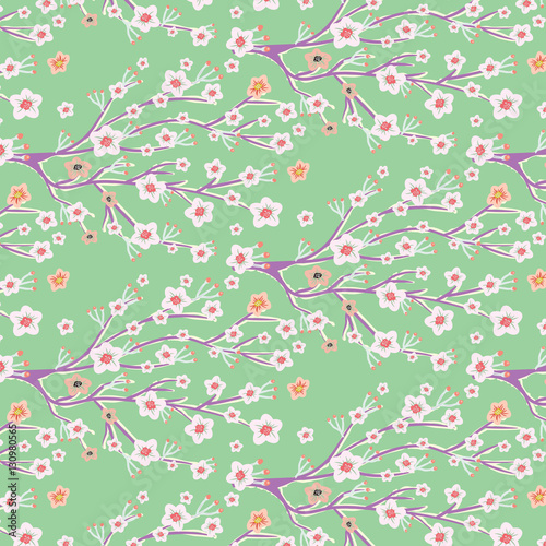 Cherry Blossom Blooming surface pattern background in spring season in Japan,China,Asia for Lunar New Year celebration. 