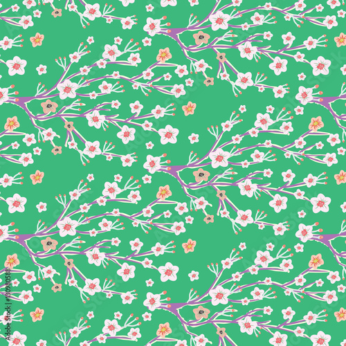 Cherry Blossom Blooming surface pattern background in spring season in Japan,China,Asia for Lunar New Year celebration. 