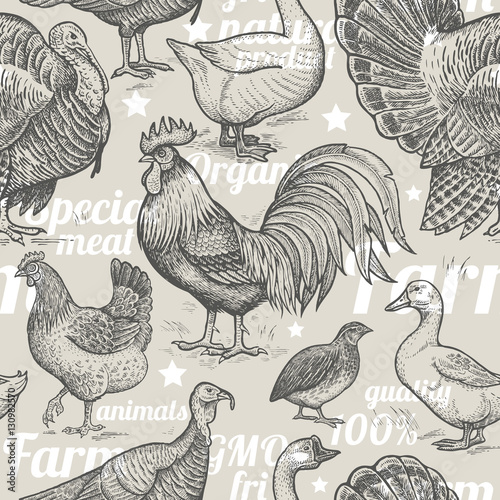 Seamless pattern with poultry.