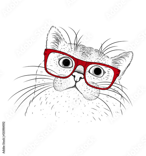 Picture of portrait of a cat with the glasses. Vector illustration.