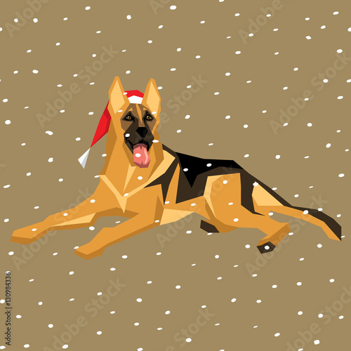 Vector Dogs Collection