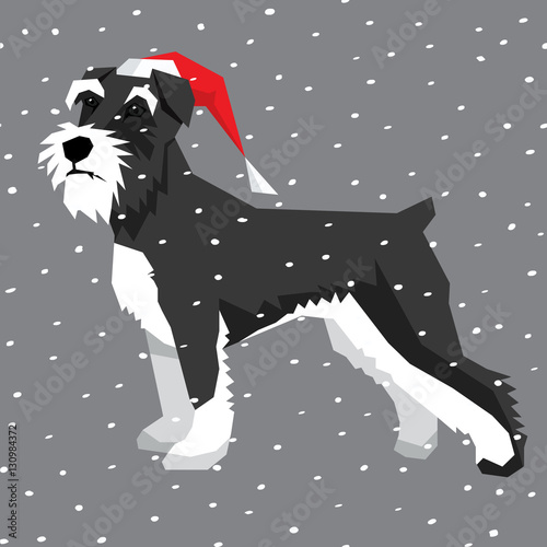 Vector Dogs Collection