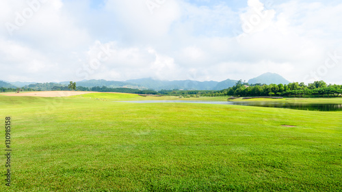 Fototapeta Naklejka Na Ścianę i Meble -  grass field background