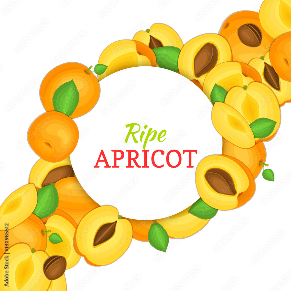 Obraz premium Round white frame on ripe apricot diagonal composition background. Vector card illustration. Delicious fresh and juicy apricot whole, peeled piece of half slice leaves seed. appetizing looking