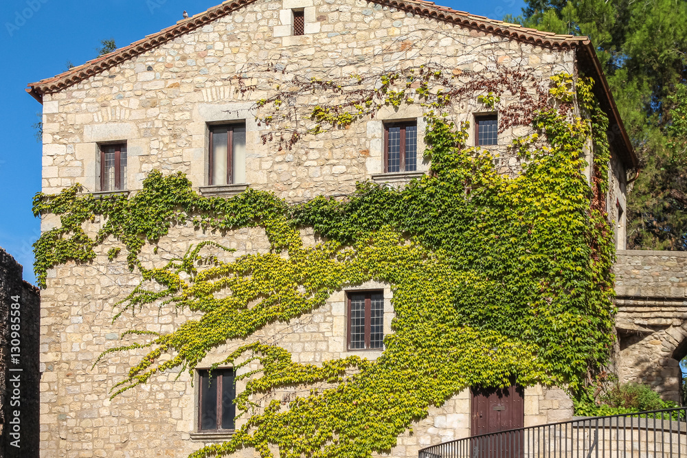 Front of the house, overgrown with ivy in the Spanish city of Gerona