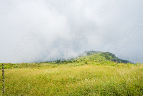 mountain and grass field with fog © songdech17