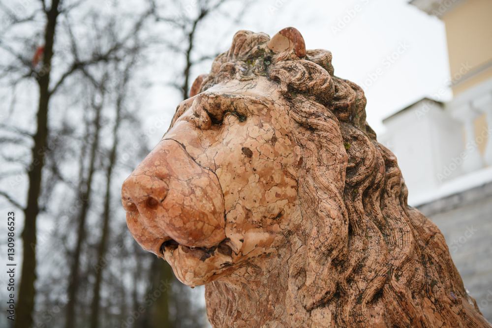 Antique head lion Marble. Vintage marble lion at the front. Historical sculpture of  ancient lion. Portrait of lion in cracks and scratches from old age. Lions of the St. Petersburg Palace in Pushkin.