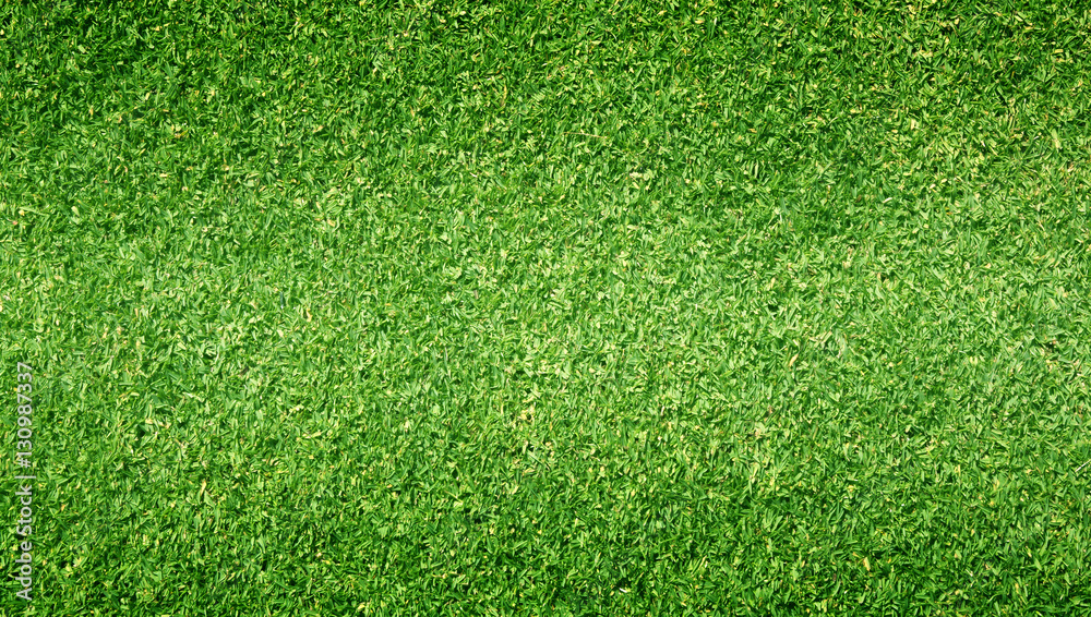 Obraz premium Green grass background