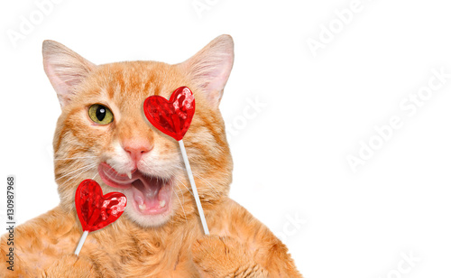 Εκτύπωση καμβά Cat  holding in paws sweet tasty lollipop in the shape of heart