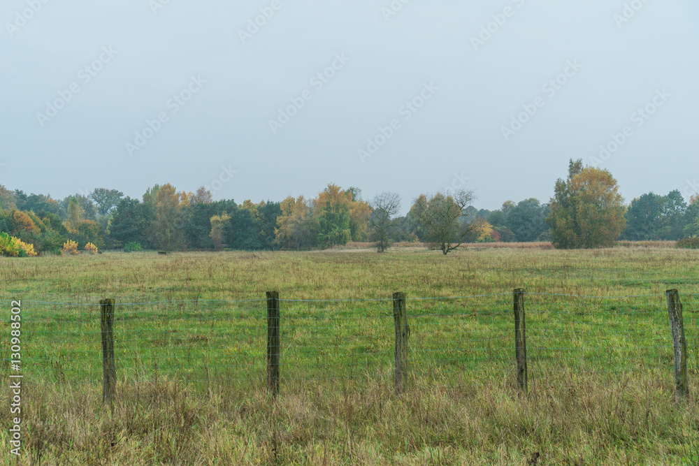 Old rustic farm fence enclosing a pasture