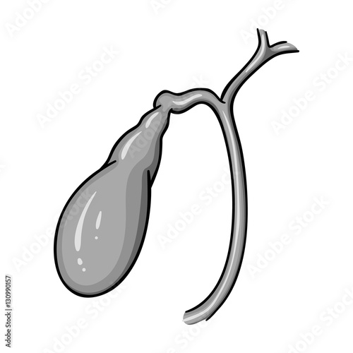 Human gallbladder icon in monochrome style isolated on white background. Human organs symbol stock vector illustration.