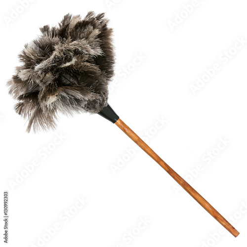 Natural ostrich feather duster