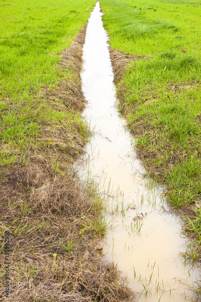 Full water ditch in a field after torrential rain Full water ditch in a field after torrential rain