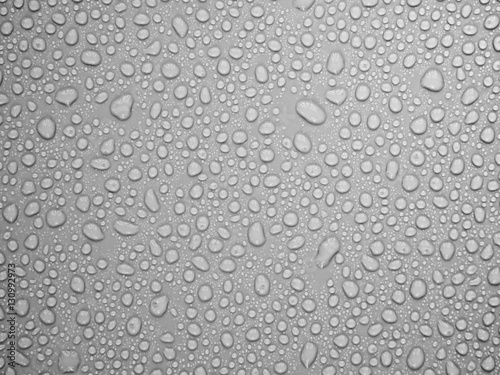 Wallpaper Mural Water drops on gray background. Torontodigital.ca