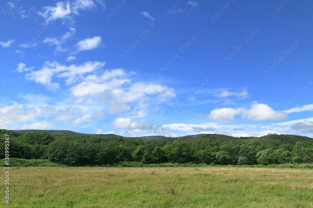 北海道風景　原野