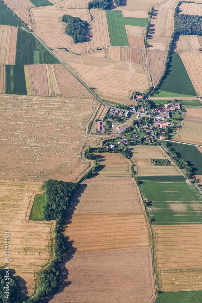 Fototapeta premium aerial view of village and green harvest fields