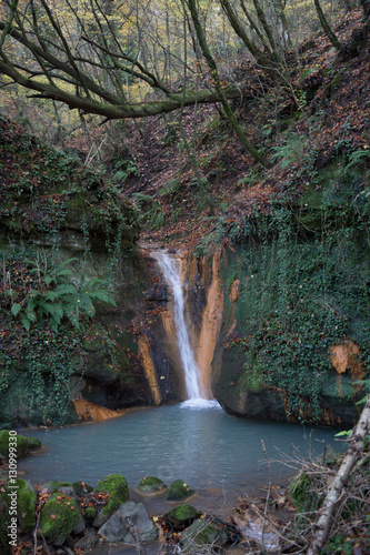 Cascata del ruscello nel bosco