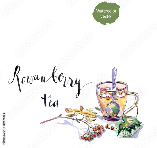 Cup of rowanberry tea