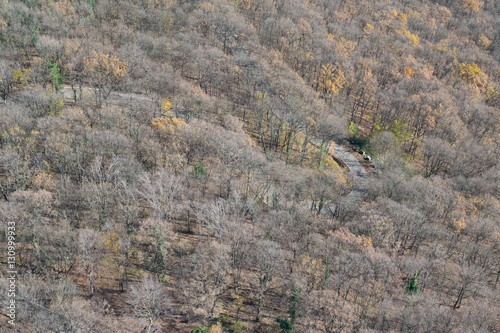 Aerial view on mountain road in the forest