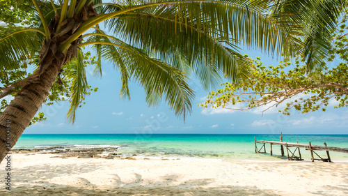 Beautiful exotic beach with coconut tree, Located Koh Kood Island, Thailand
