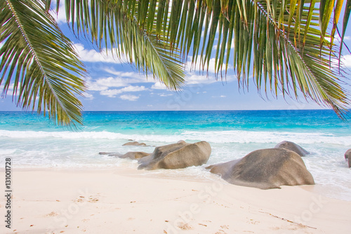 Seychelles plage cocotiers, anse Takamaka, Mahé