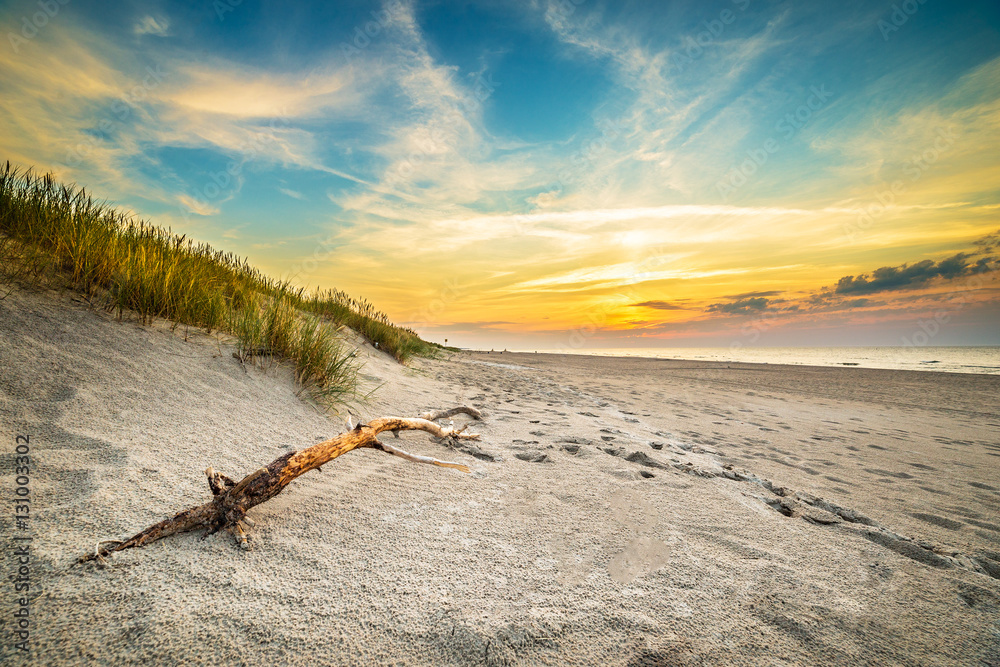 Sand dunes against the sunset light on the beach in northern Poland - obrazy, fototapety, plakaty 