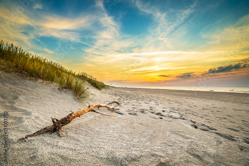 Sand dunes against the sunset light on the beach in northern Poland