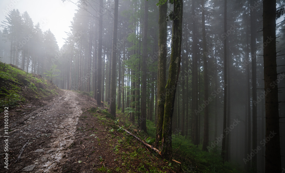 Naklejka premium mountain road