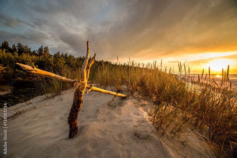 Obraz premium Sand dunes against the sunset light on the beach in northern Poland