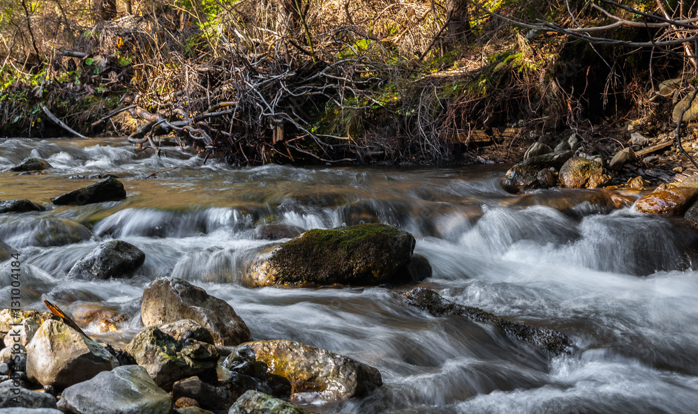 quiet creek