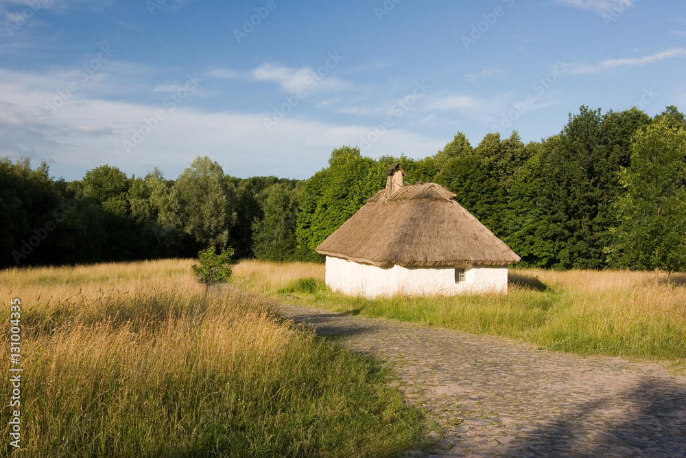 Authentic Ukrainian village house.