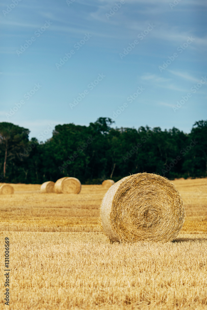 Haystacks in fields