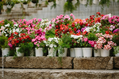 Beautiful flowerpots on stone surface © funkyfrogstock