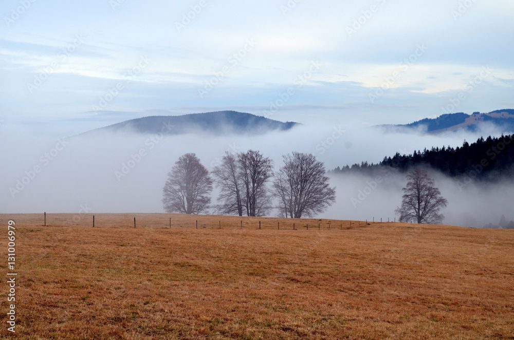 Fototapeta premium Schauinsland im Nebel