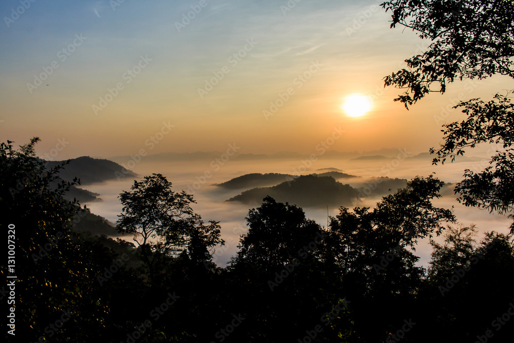 the morning in the mist of winter in Phu bo bit ,Loei Thailand