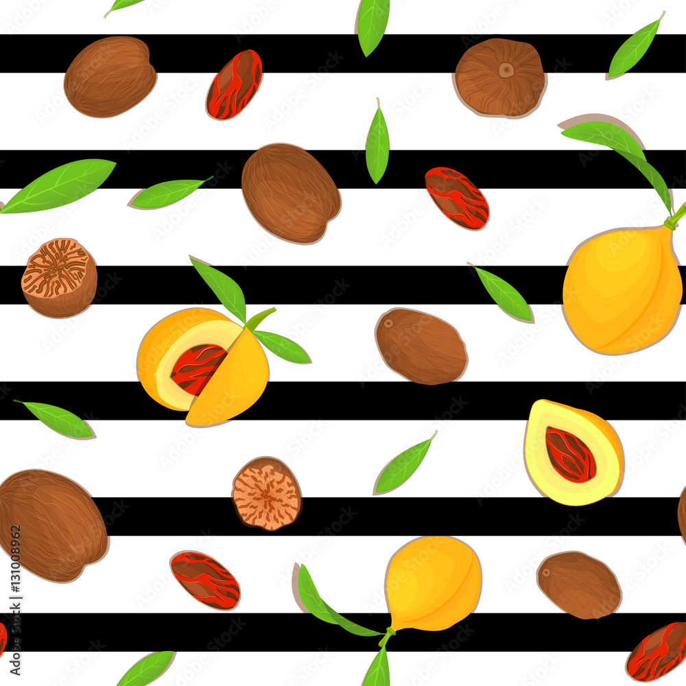 Vector seamless pattern Nutmeg spice fruit. Striped background with Nutmeg nuts fruit in the shell, whole, shelled, leaves appetizing looking for design of healthy food, printing on fabric, textile