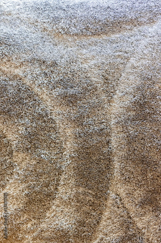 carpet of gray