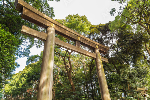The gate which is the entrance of Meiji Shrine.
