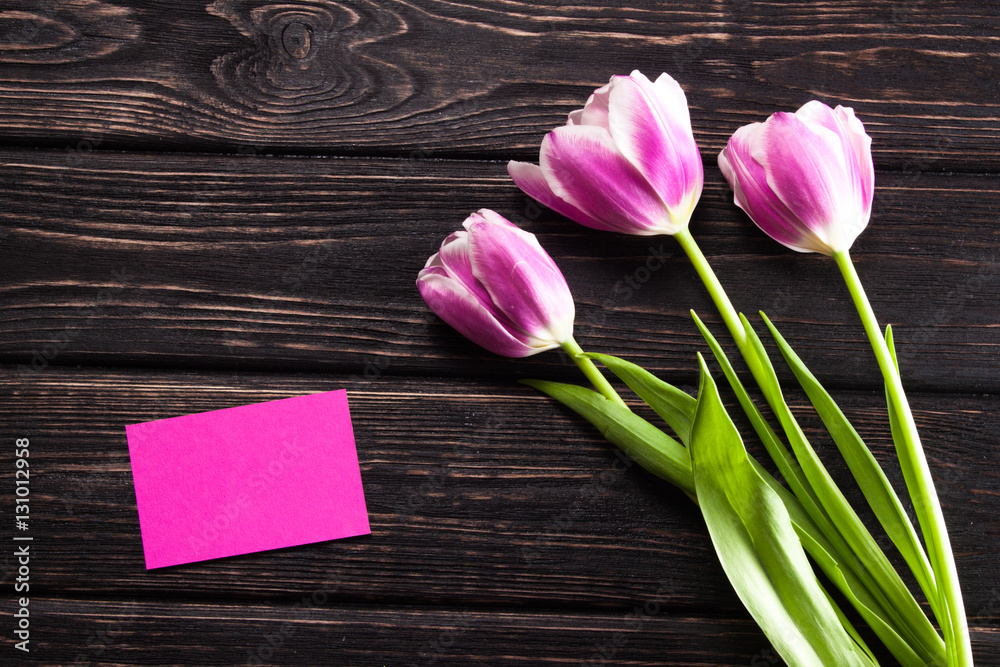 Fresh tulip on wood desk Fresh tulip on wood desk