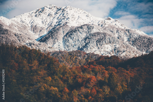 Snowy Mountains with Autumn Forest Landscape background Travel serene scenic view