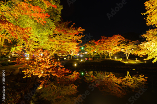 Illuminated autumn leaves