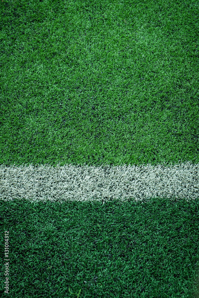Fototapeta premium artificial turf of Soccer football field