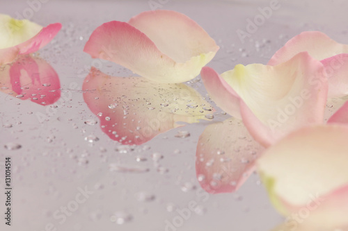 Spa concept. Rose petals on reflective background with raindrops. Relaxation, body care treatment, wellness