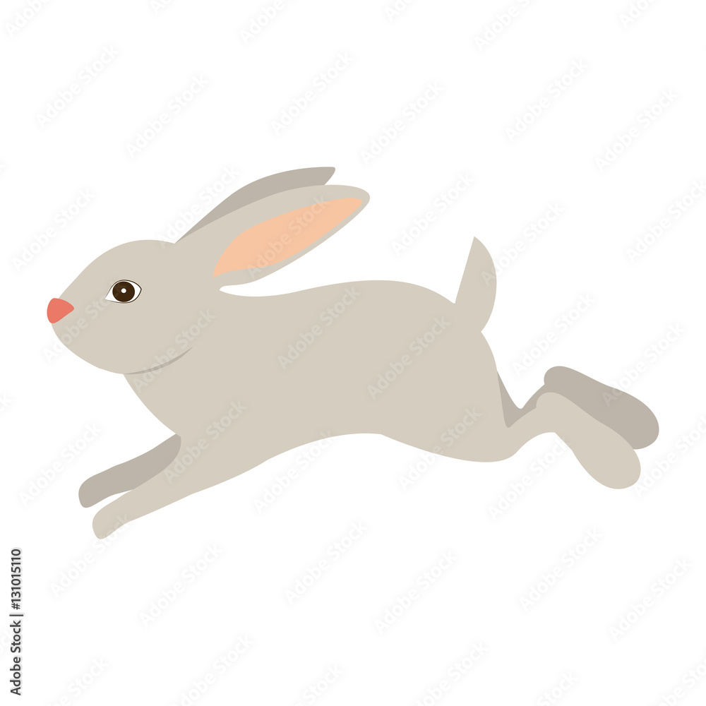 Rabbit cartoon icon. Animal cute life nature theme. Isolated design. Vector illustration Rabbit cartoon icon. Animal cute life nature theme. Isolated design. Vector illustration
