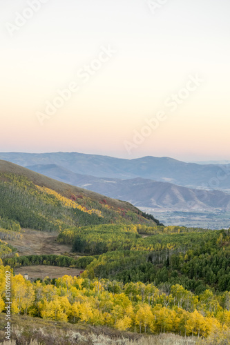 Fall Leaves in the Valley Park City Utah