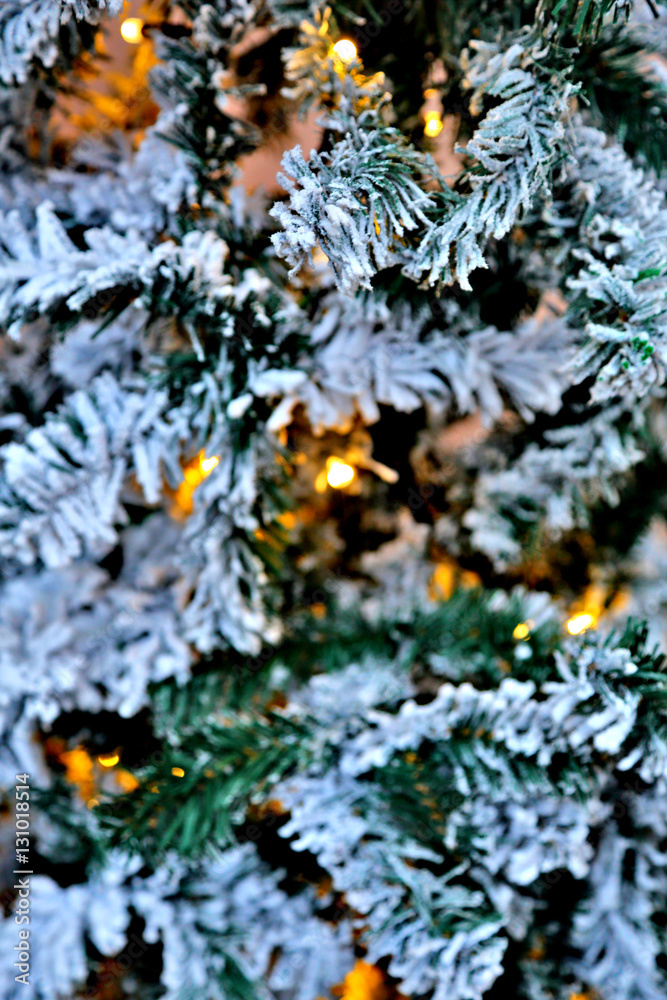 Rich textured leaves of evergreen coniferous tree Rich textured leaves of evergreen coniferous tree