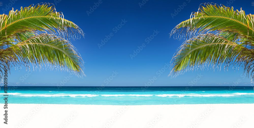 Tropical beach with coconut palm tree leafs, turquoise sea water