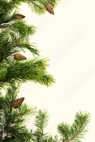Fototapeta Naklejka Na Ścianę i Meble -  Spruce tree branches frame, evergreen garland