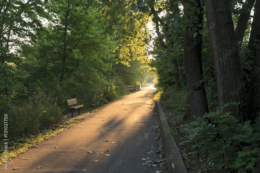 Fototapeta premium walk to the light