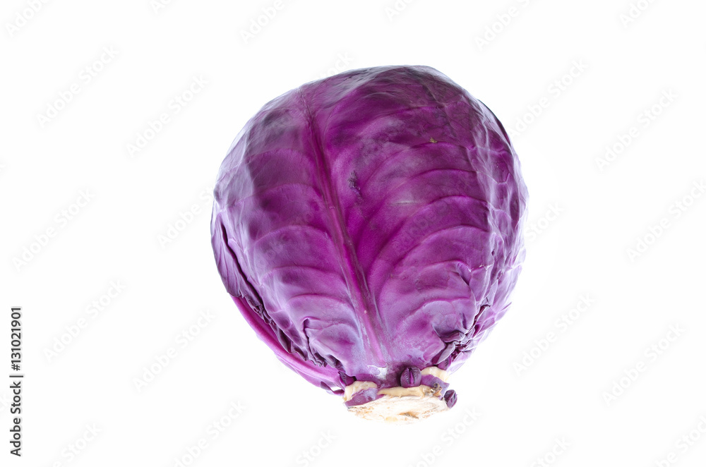 blue cabbage vegetable on white background blue cabbage vegetable on white background